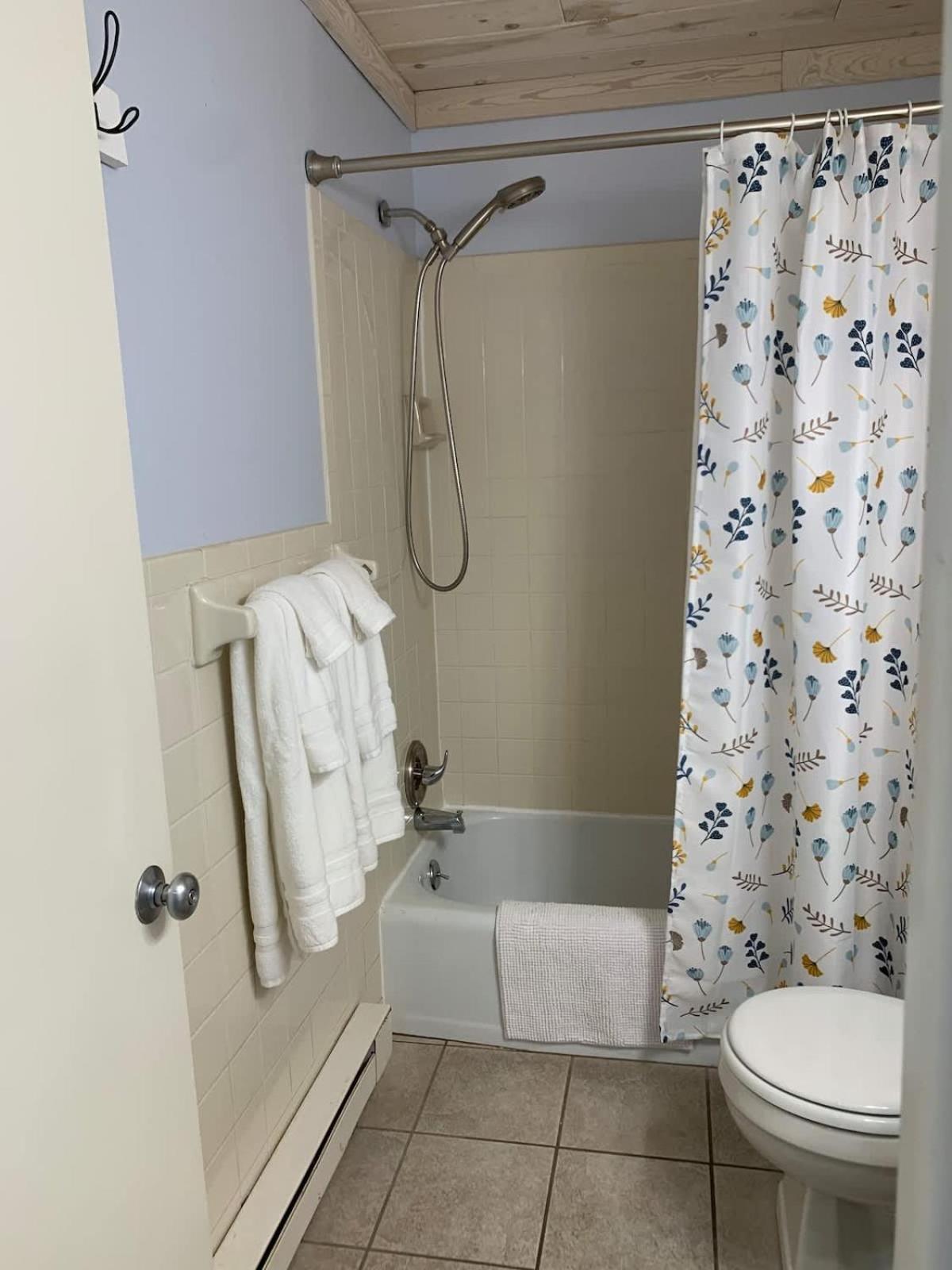 Shanty Creek, Condo, Golf ,Sleeps 4, Pets Welcome! Bellaire Exterior photo